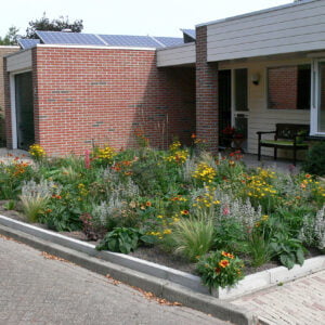 Kleinwoud Na 6 maanden 1